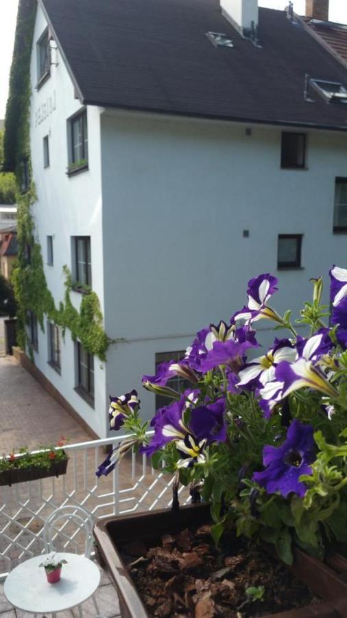 Pension Kern Prague Ngoại thất bức ảnh